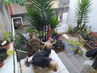 Casa Para Vender com 02 quartos no bairro Vale do Jatobá em Belo Horizonte