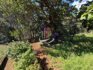 Chácara Para Vender com 03 quartos no bairro Parque Alvorada em Juatuba