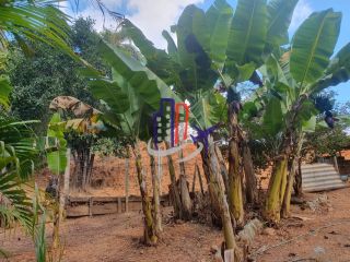 Chácara Para Vender no bairro Amarillys em Esmeraldas