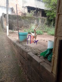 Casa Para Vender com 05 quartos no bairro Coqueiros em Belo Horizonte