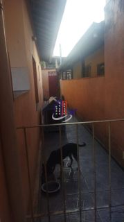 Casa Para Vender com 2 quartos no bairro Glória em Belo Horizonte