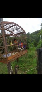 Sítio Para Vender com 03 quartos no bairro Quintas dos Querubins em Baldim