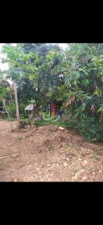 Sítio Para Vender com 03 quartos no bairro Quintas dos Querubins em Baldim