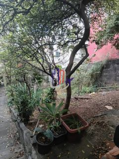 Casa Para Vender com 03 quartos 01 suítes no bairro Santa Cruz Industrial em Contagem