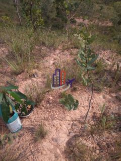 Terreno Para Vender no bairro Forquilha do Cabral em Três Marias