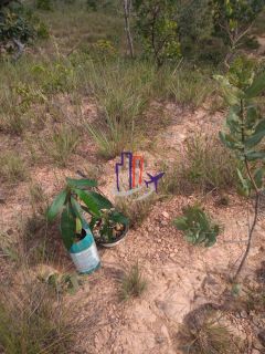 Terreno Para Vender no bairro Forquilha do Cabral em Três Marias