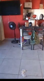 Casa Para Vender com 01 quarto no bairro Recanto Verde em Esmeraldas