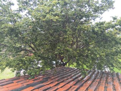 Sítio Para Vender com 03 quartos 02 suítes no bairro Tupã em Contagem