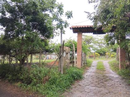 Sítio Para Vender com 03 quartos 02 suítes no bairro Tupã em Contagem