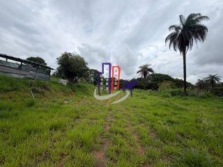 Sítio Para Vender no bairro Campo Alegre em Contagem
