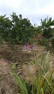 Chácara Para Vender no bairro Zona Rural em Taquaraçu De Minas