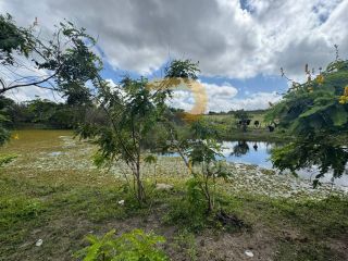 Casa no Campo á Venda próximo a Vila Peladas