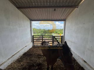 Casa no Campo á Venda próximo a Vila Peladas