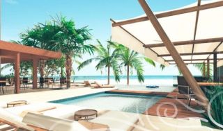 Cupe Suites
