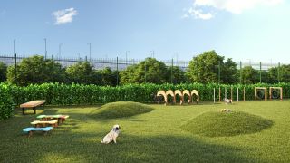 Concept João Farinha