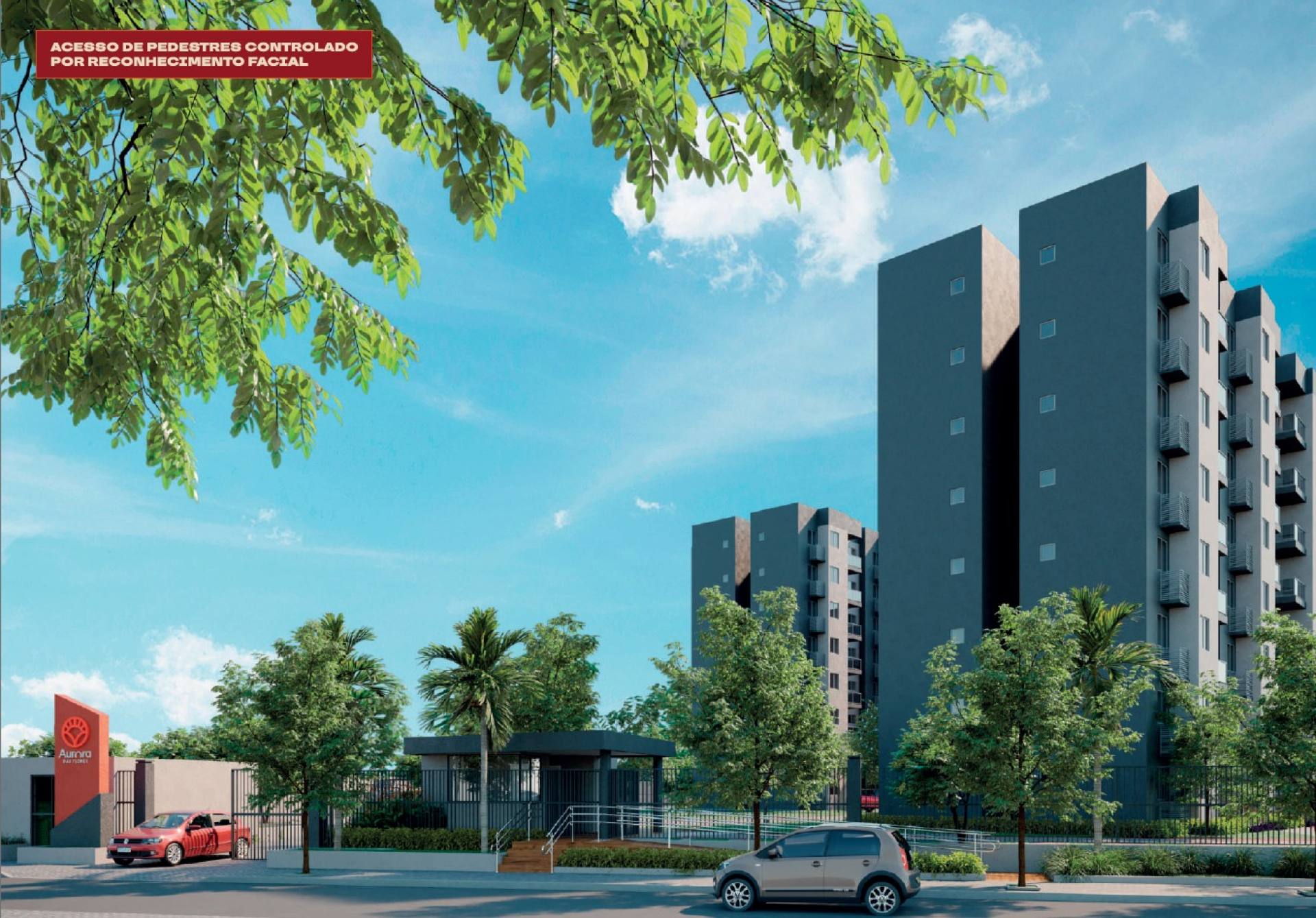 Aurora das Flores, Centro de Paulista