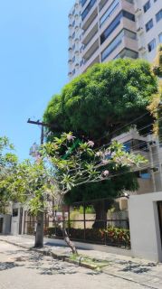 Apartamento a venda com 3 quartos e 2 vagas de garagem na Boa Vista