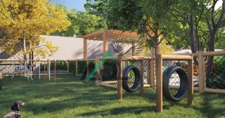 Viva o Melhor do Recife: Cidade, Natureza e Qualidade de Vida em Um Só Lugar