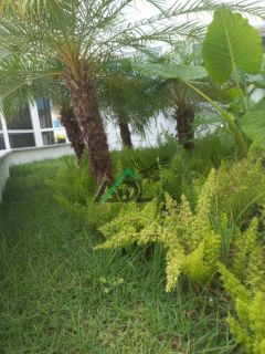 Onde Conforto e Localização se Encontram