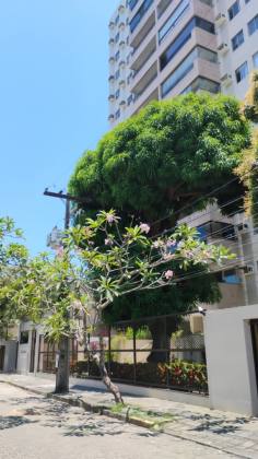 Apartamento 3 quartos na Boa Vista Próximo a Agamenon Magalhães