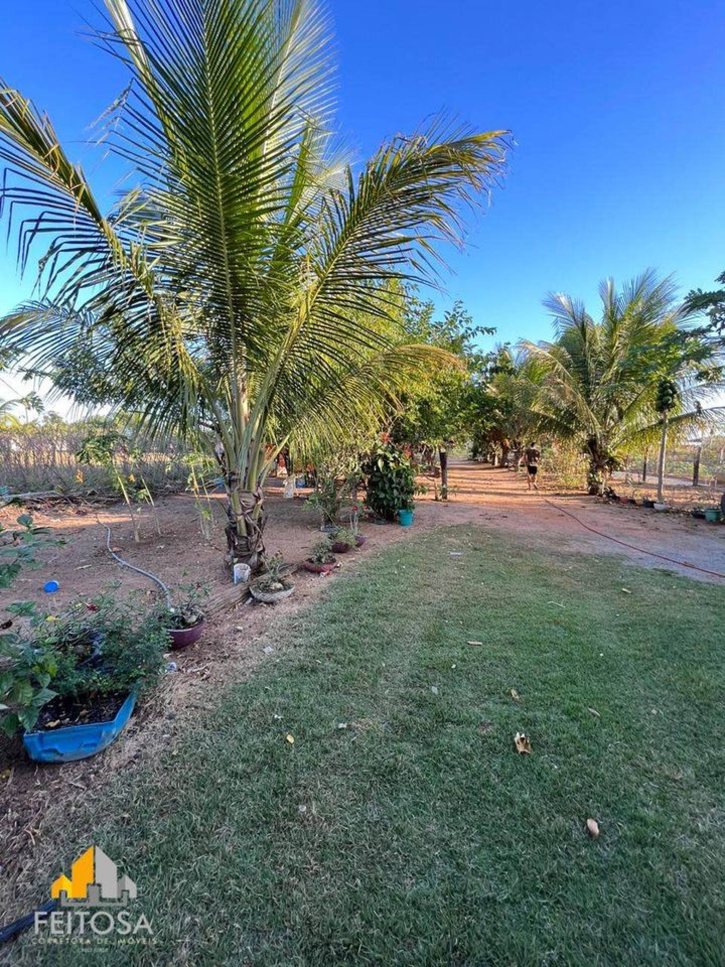 CHÁCARA DISPONÍVEL COM CERCA DE 1 ha