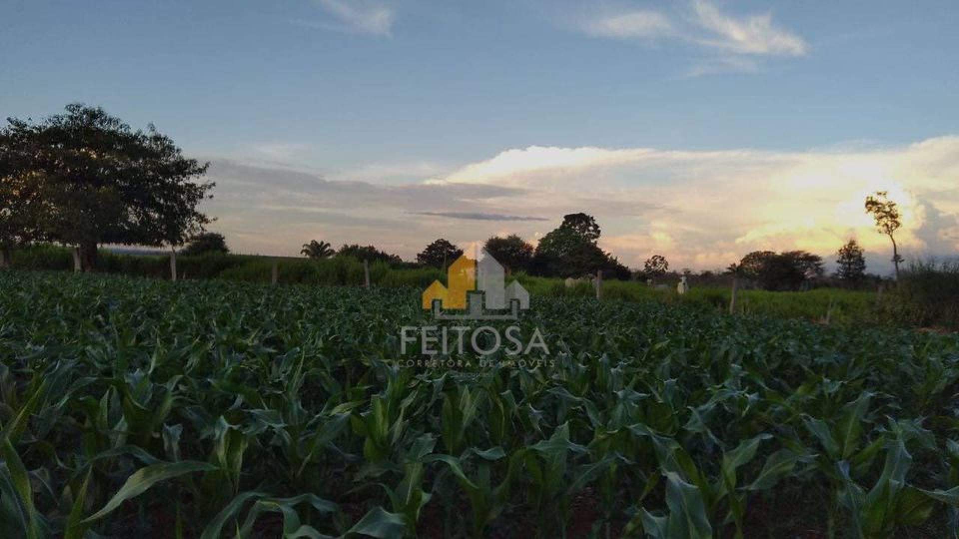 SITIO DISPONÍVEL PARA VENDA A 15 KM DE SAO JOSE DO RIO CLARO