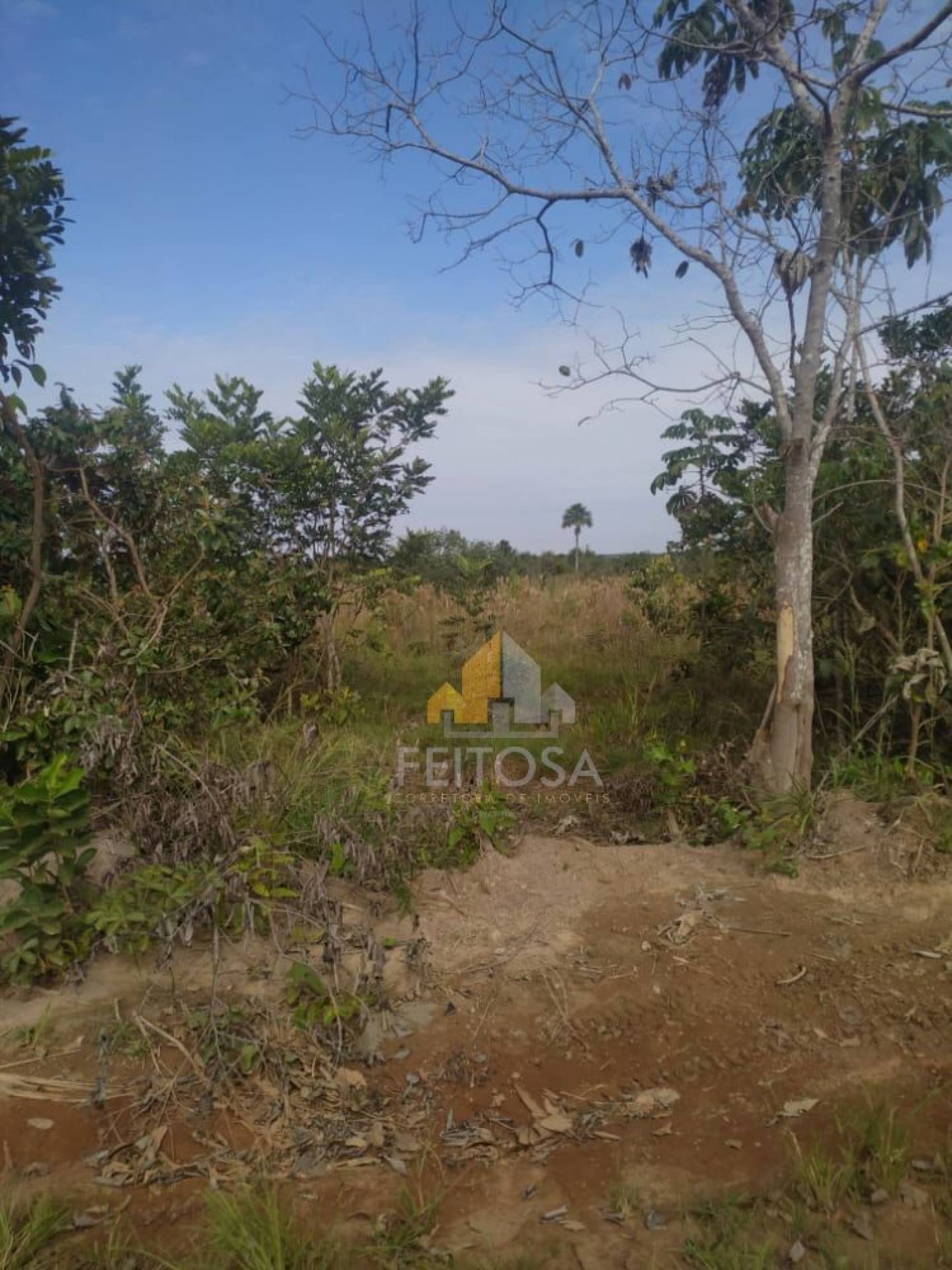 SITIO DISPONÍVEL PARA VENDA EM DIAMANTINO NO ACENTAMENT0  PACAITE