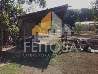 ra Disponível para venda a 10 km de Nova Mutum, sentido São José do Rio Claro