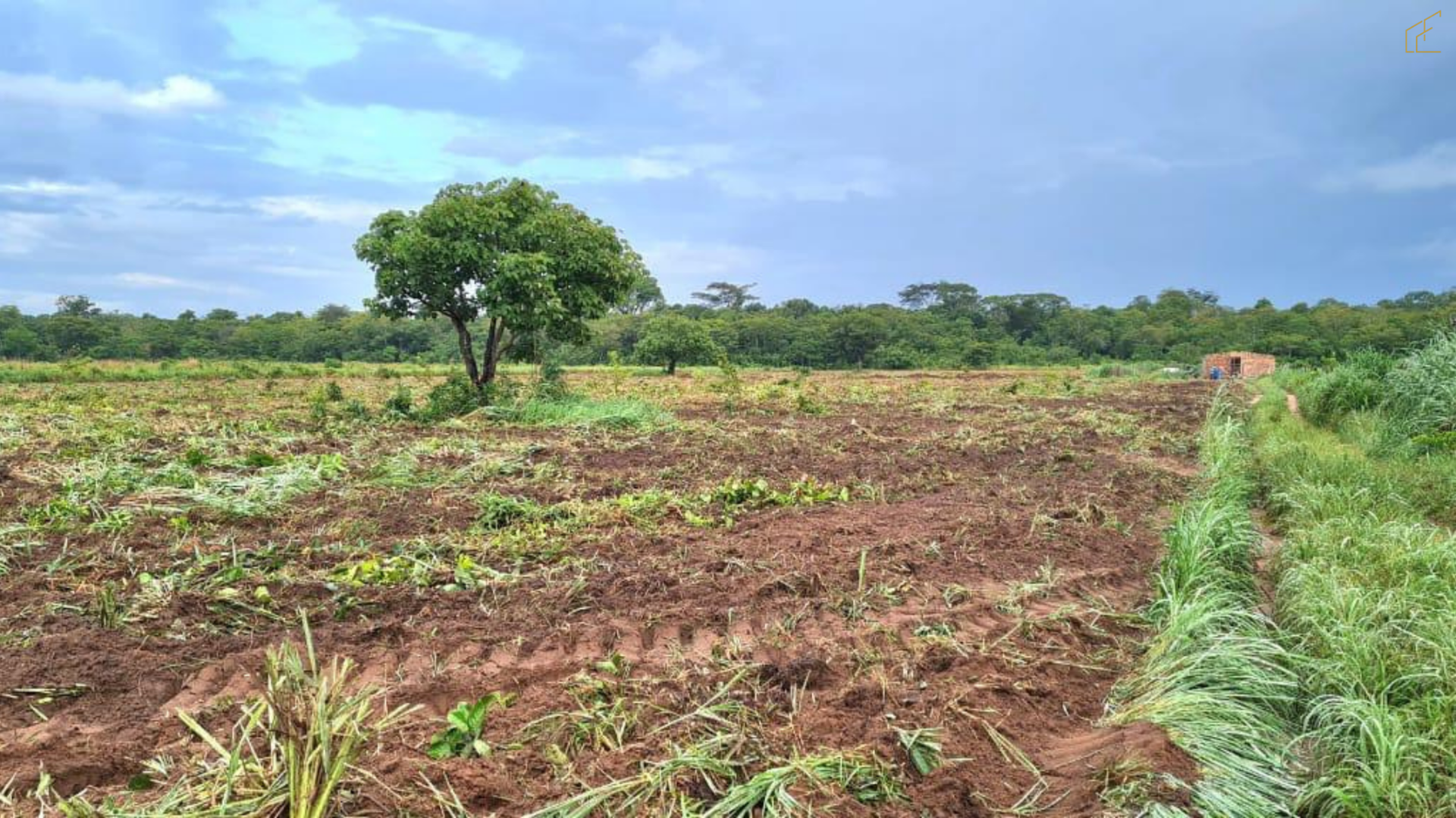 CHÁCARA A VENDA A 8KM DE NOVA MUTUM