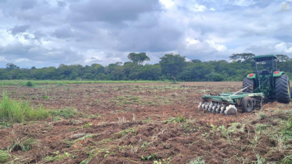 CHÁCARA A VENDA A 8KM DE NOVA MUTUM