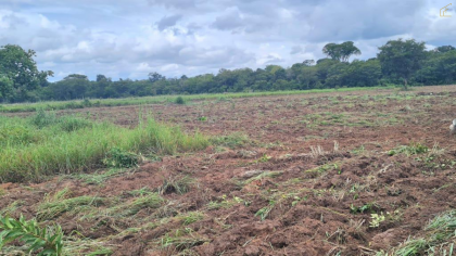 CHÁCARA A VENDA A 8KM DE NOVA MUTUM