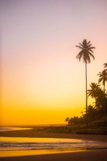 RESIDENCIAL FELIZ DESERTO