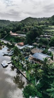 Paradiso Tropical - Conforto e Natureza em um só lugar