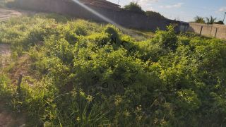 Terreno nas pedras 15X30