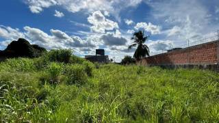 Terreno à venda, 384 m² por R$ 230.000,00 - Santa Quitéria - Rio Branco/AC