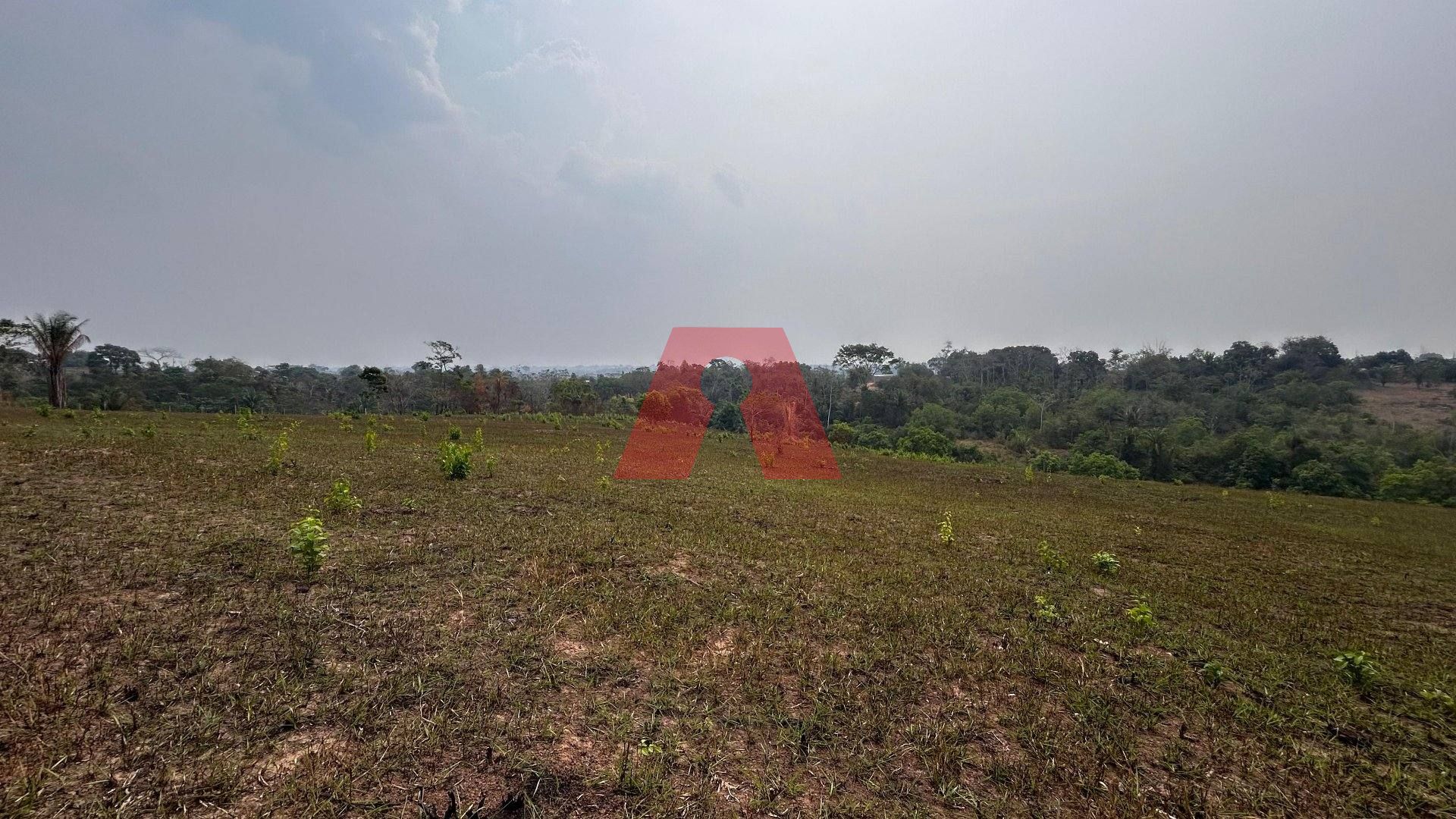 Área de terra à venda, 3,777 ha