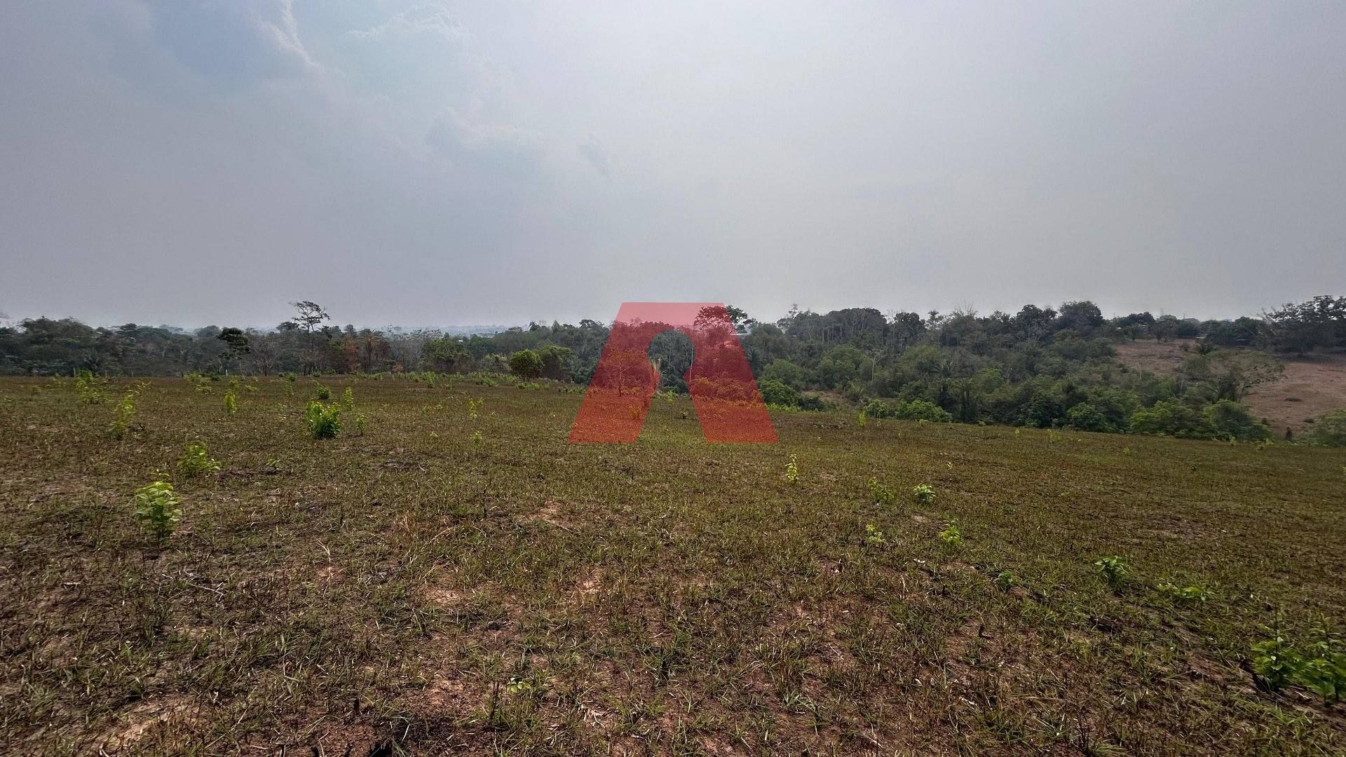 Área de terra à venda, 3,777 ha