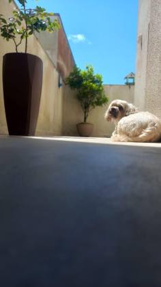 APARTAMENTO COM AREA DIFERENCIADA