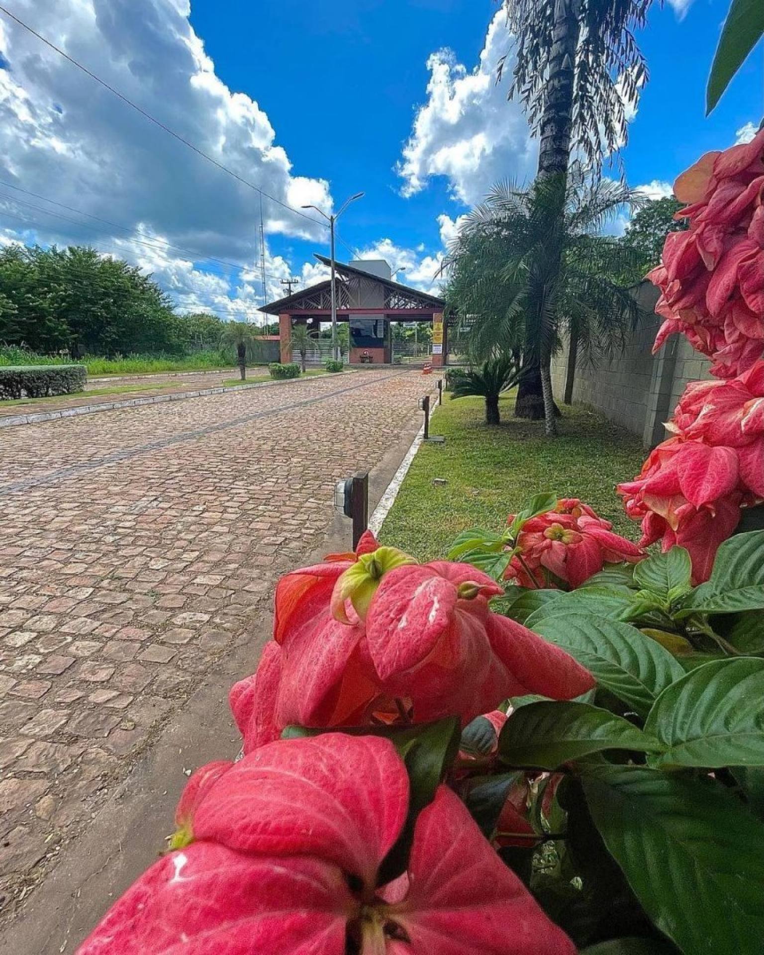 Lotes lado a lado, Fazenda Real.