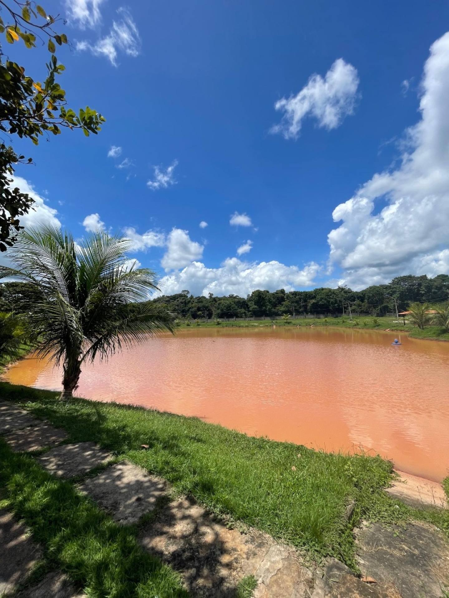 Fazenda Real - Lote Padrão (750m2)