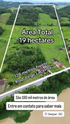 Área de 19 hectares