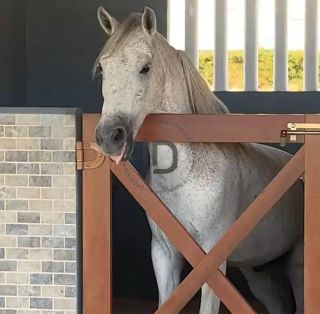 Fazenda Real II Lote em Condominio Fechado