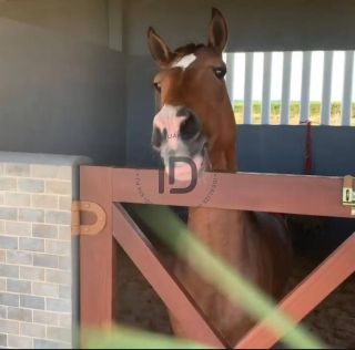 Fazenda Real II Lote em Condominio Fechado