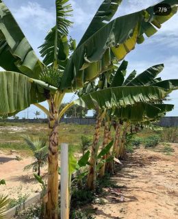 Fazenda Real II Lote em Condominio Fechado