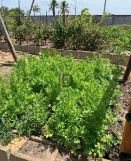 Fazenda Real II Lote em Condominio Fechado
