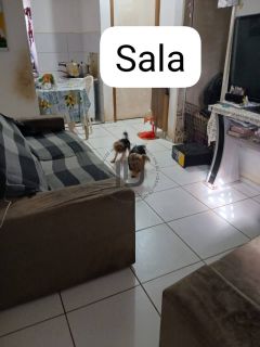 Vida Nova Santa Maria