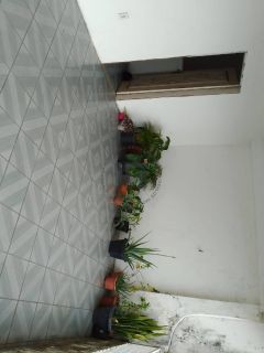 Casa rua Acre - Siqueira Campos
