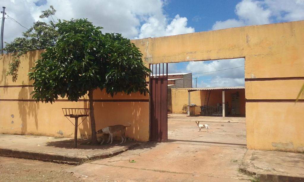 CAsa Canelas