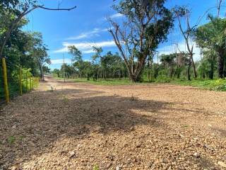 Chácara com 7 hectares e meio.