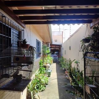 Casa com 3/4 sendo 1 suíte no bairro Canelas em Várzea grande